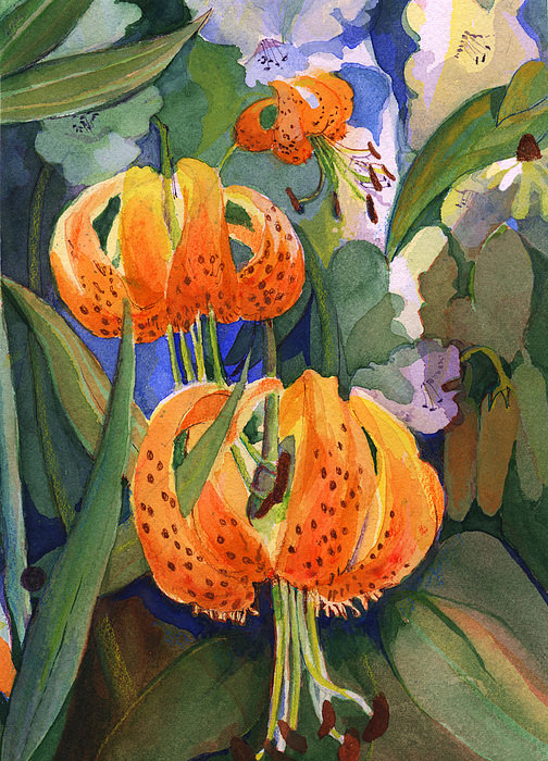 Nancy Watson - Tiger lily parachutes