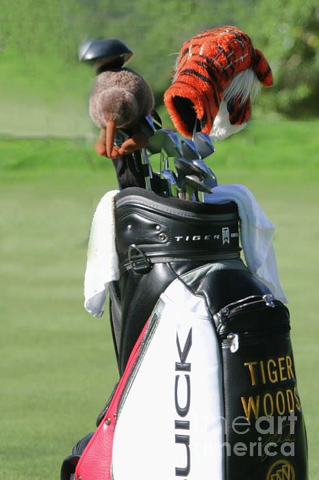 Sports Photographs