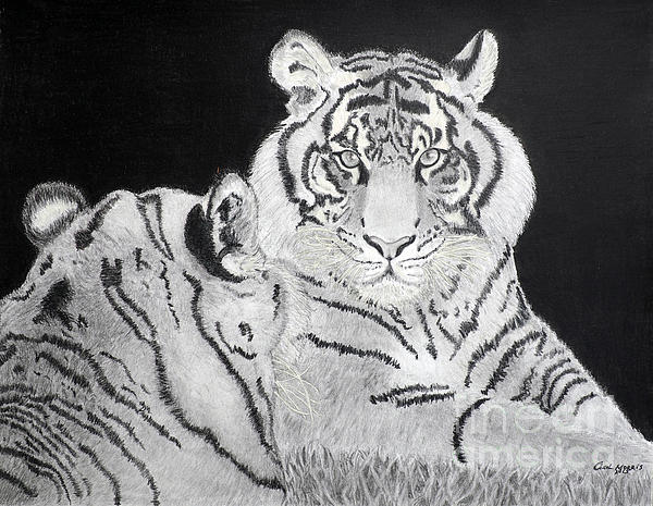 Animal Art