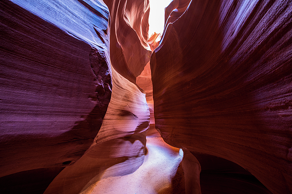 Desert Art