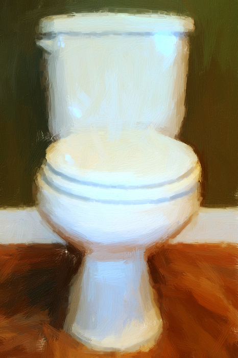 Wingsdomain Art and Photography - Toilet