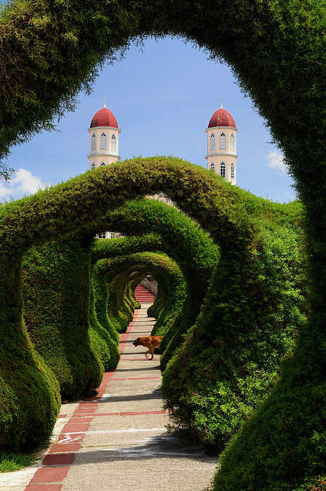 Topiary garden archways in Zarcero Costa Rica with church and do Jigsaw  Puzzle