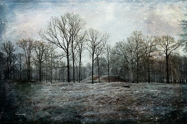 Holiday Digital+art