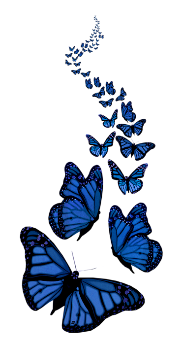 Vỏ chăn bướm xanh trong suốt đuôi dài là lựa chọn hoàn hảo cho bất kỳ ai đang tìm kiếm giải pháp trang trí giường ngủ. Với thiết kế độc đáo và màu xanh trong suốt tuyệt đẹp, vỏ chăn này sẽ giúp bạn tạo nên một không gian nghỉ ngơi hoàn hảo. Hãy xem hình ảnh để cảm nhận sự đẹp mắt của nó.