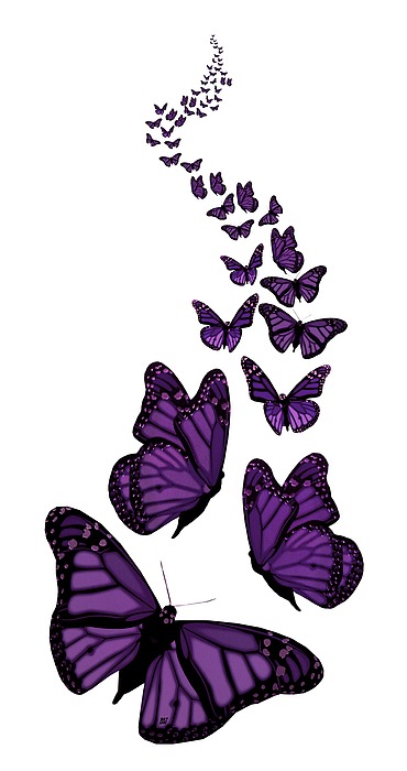 Free Free 218 Butterfly Trail Svg SVG PNG EPS DXF File