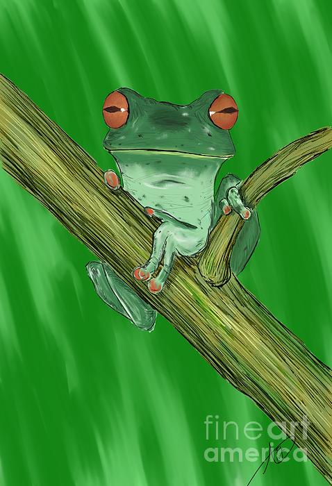 Alex Smith - Tree Frog