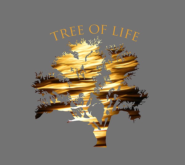 Tree Of Life Photograph