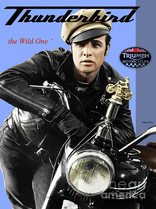 Triumph Thunderbird 650 CC motorcycle, the Wild One, Marlon