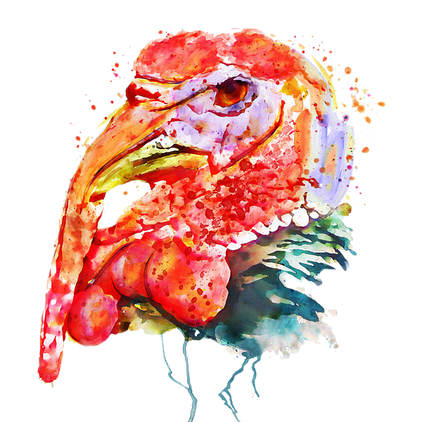 Turkey Head Sticker by Marian Voicu - Pixels Merch