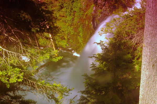 Jeff Swan - Upper Union Creek Falls 