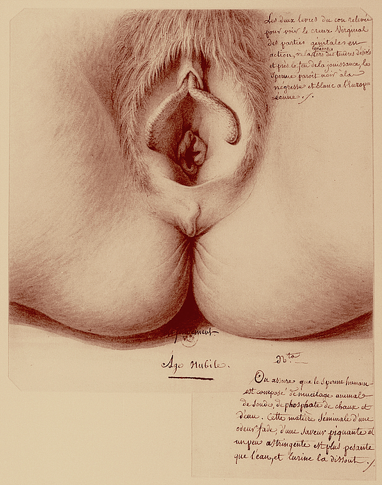 Samaraning yalangoch erkaklari