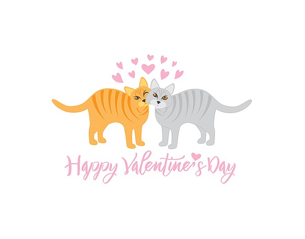 Valentines Day Cats Snuggling Illustration Photograph