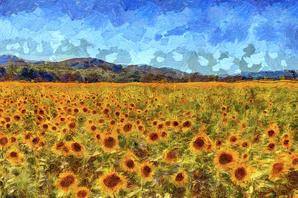Van Gogh Summer Sunflowers Jigsaw Puzzle by David Pyatt - Pixels