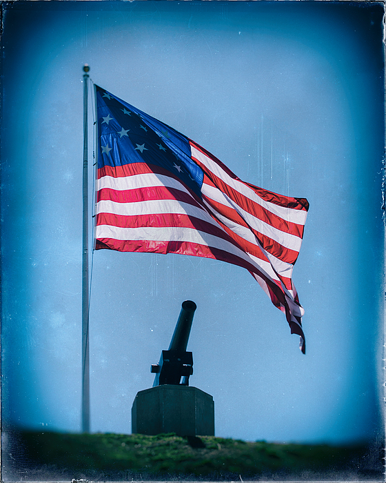 https://images.fineartamerica.com/images/artworkimages/medium/1/vintage-federal-hill-flag-and-cannon-bill-swartwout.jpg