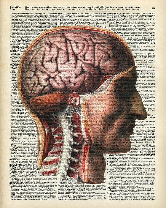 Vintage Human Brain Anatomy T-Shirt