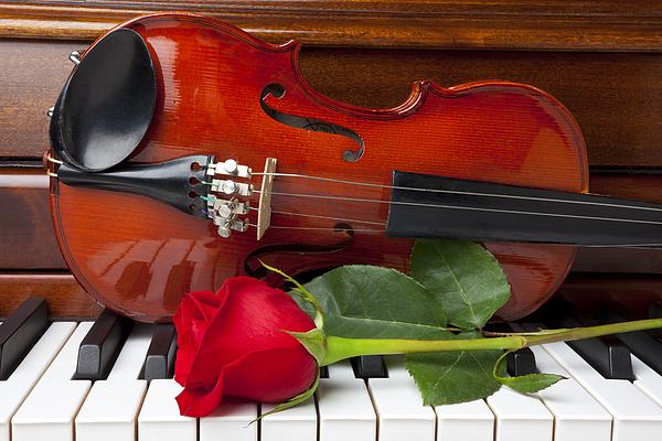 Violin with rose on piano Spiral Notebook for Sale by Garry Gay