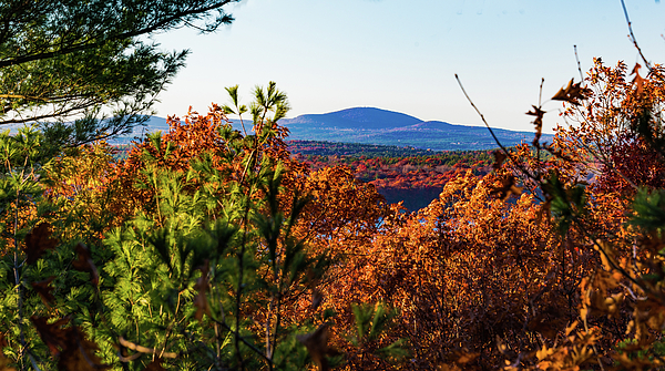 Fall Photographs