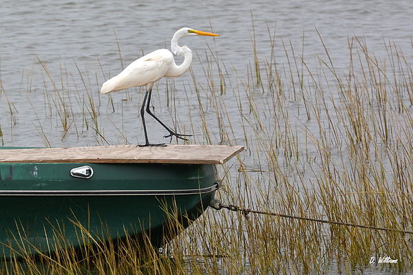 Egret Art