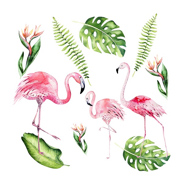 Watercolour Flamingo Family Painting