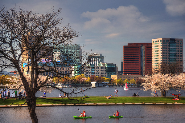 Joann Vitali - Watersports on the Charles River-Boston