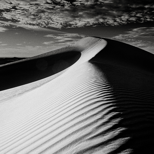 Desert Art