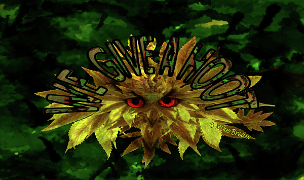 We Give A Hoot-marijuana Camouflage Art Mixed Media