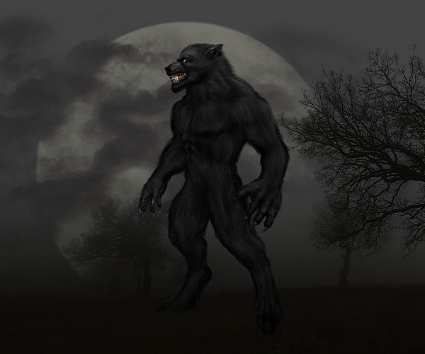 Werewolf blanket best sale