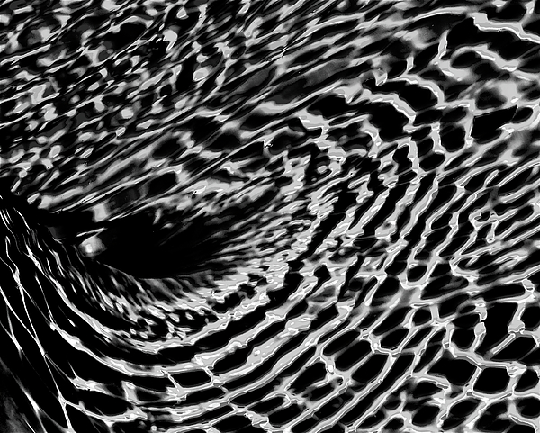 Bonnie See - Whirlpool Abstract - BW