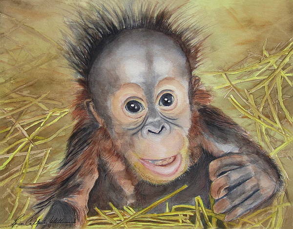 Monkey Paintings