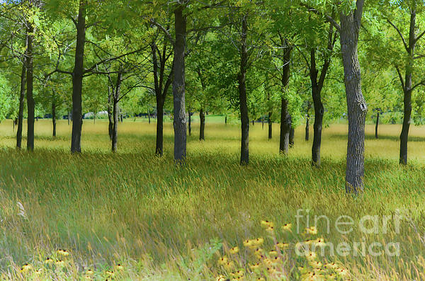 https://images.fineartamerica.com/images/artworkimages/medium/1/wooded-meadow-deb-halloran.jpg