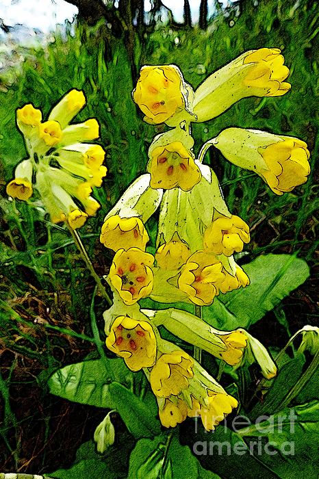 Jean Bernard Roussilhe - Yellow Flowers 2