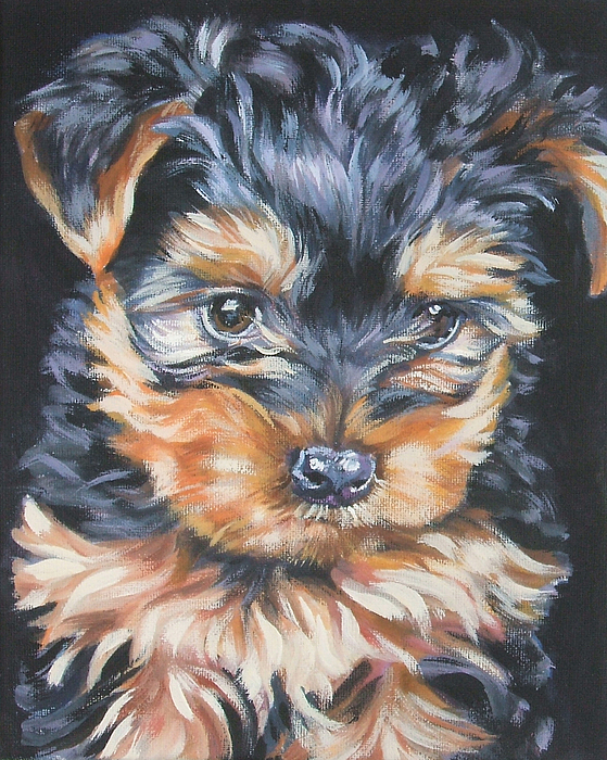 Lee Ann Shepard - Yorkshire Terrier pup