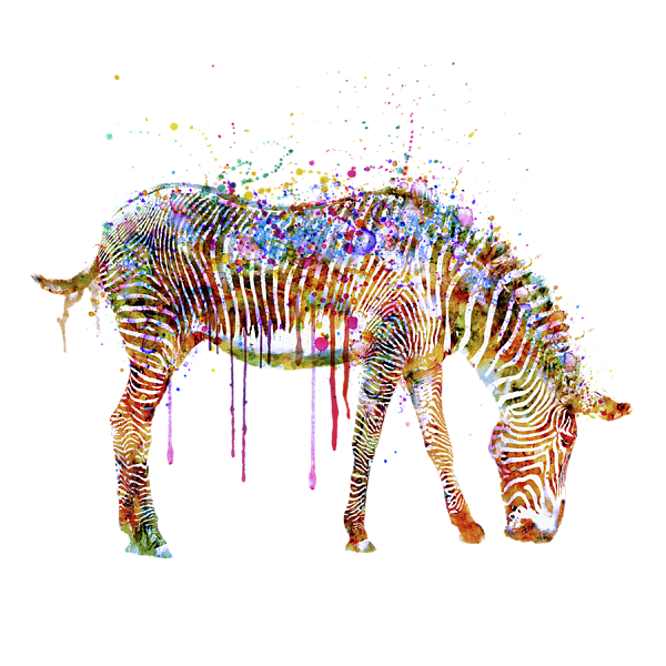 Zebra watercolor painting Shower Curtain by Marian Voicu - Pixels