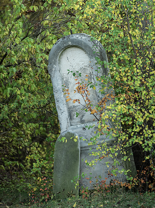 An Old Gravestone In St. Marx Cemetery In Autumn Photograph