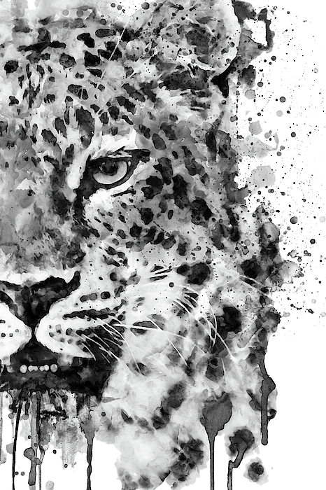 Marian Voicu - Black And White Half Faced Leopard