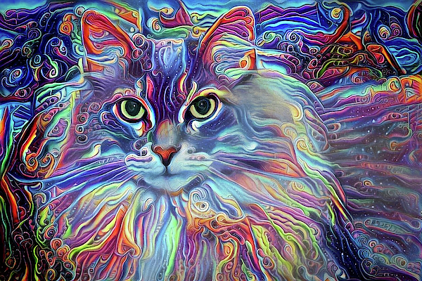 Colorful Long Haired Cat Art Tapestry for Sale by Peggy Collins