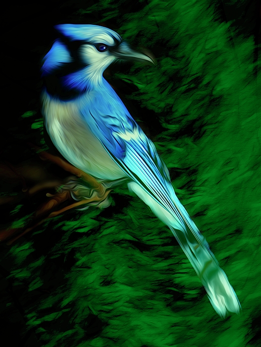 Bird Art