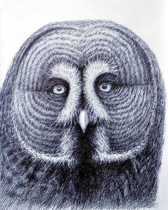 Rick Hansen - Owl Portrait