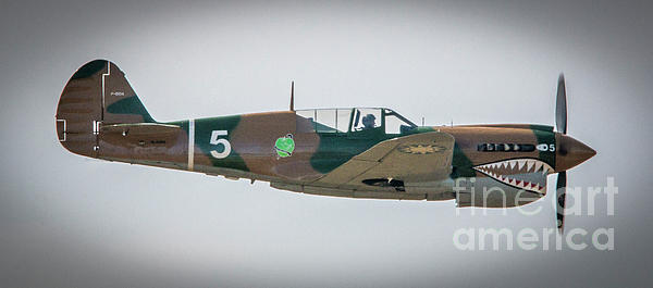 Tom Claud - P-40 Warhawk