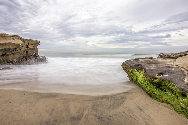 Santa Cruz Beach In Ocean Beach. San Diego Ca 1 iPhone 8 Plus