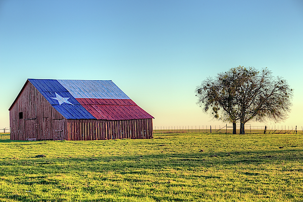 Farm Art