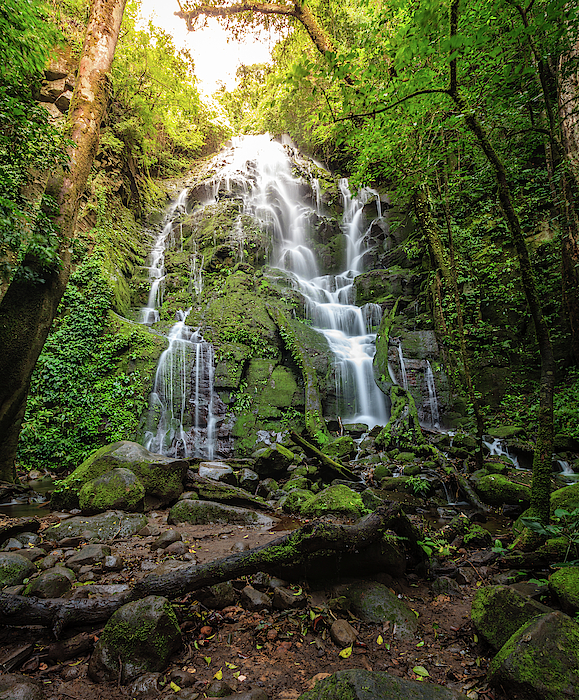 https://images.fineartamerica.com/images/artworkimages/medium/2/1-waterfall-in-tropical-forest-alexey-stiop.jpg