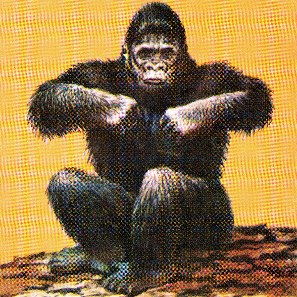 https://images.fineartamerica.com/images/artworkimages/medium/2/13-gorilla-csa-images.jpg