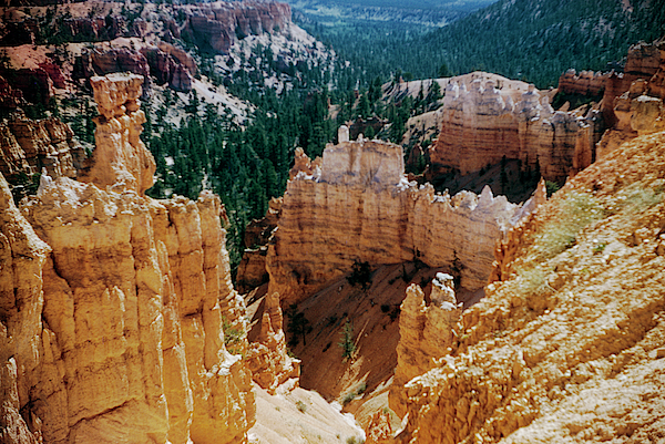 Large sandstone monolith seen beyond a few trees in Oak Creek Canyon -  ARIZ400 00210 Coffee Mug by Kevin Russell - Pixels