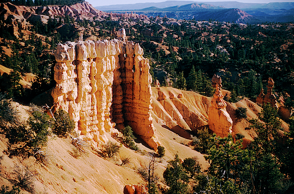 https://images.fineartamerica.com/images/artworkimages/medium/2/1957-ponderosa-pine-trees-and-hoodoos-of-bryce-canyon-utah700-00104-kevin-russell.jpg