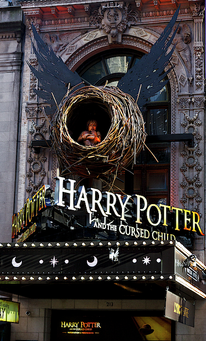 Harry Potter Shower Curtains for Sale - Pixels Merch