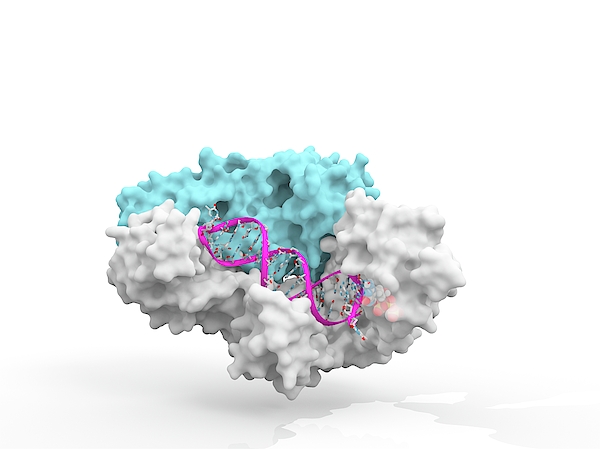 Hiv-1 Reverse Transcriptase And Drug Delivery Greeting Card by Ramon  Andrade 3dciencia/science Photo Library