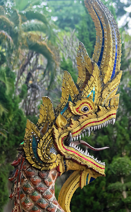 Derrick Neill - A Dragon of Wat Chedi Liam, Wiang Kum Kam, Chiang Mai, Thailand