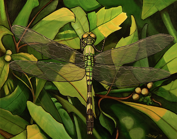 Donald Shaw - A very green dragonfly
