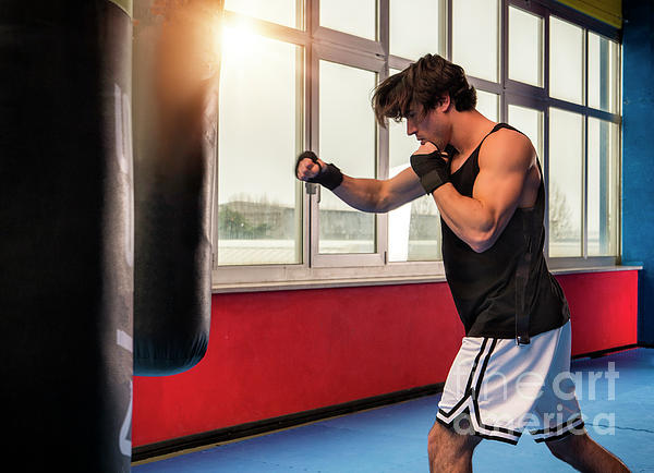 Boxing Equipment | Punch & Boxing Bags – Budo Online